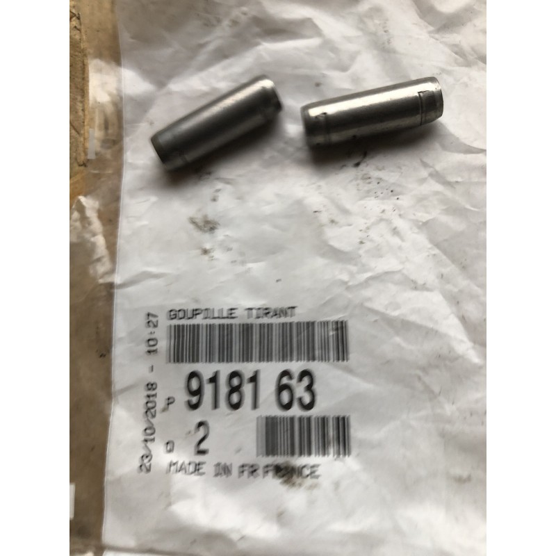 918163 AXE DE CHARNIERE DE PORTES