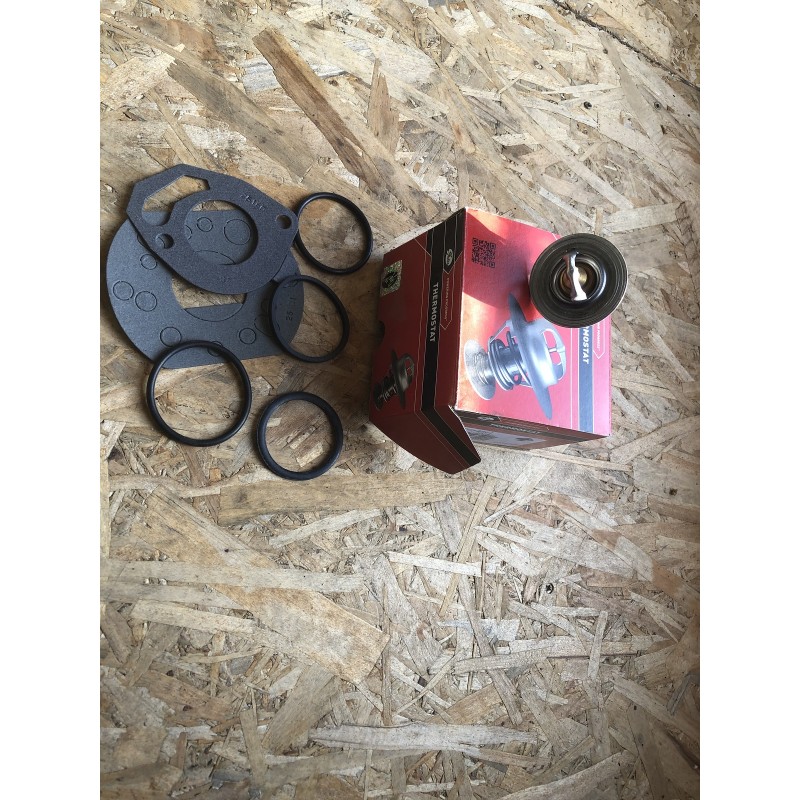 133811 THERMOSTAT/ CALOTTAS 205 GTI NEUF ADAPTABLE