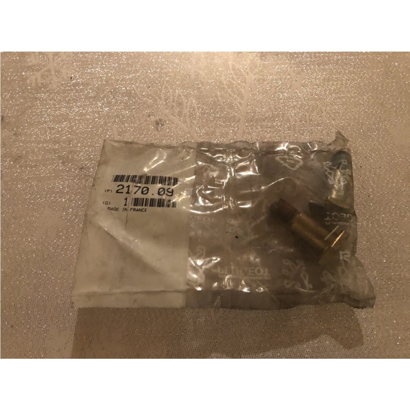 217009 VISE DE SILENTBLOC