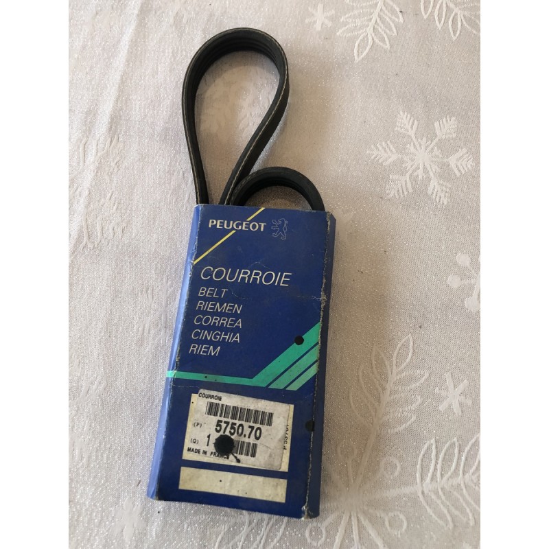575070 COURROIE