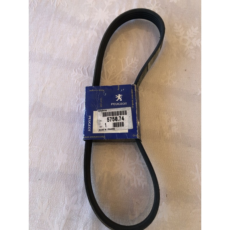 545074 COURROIE