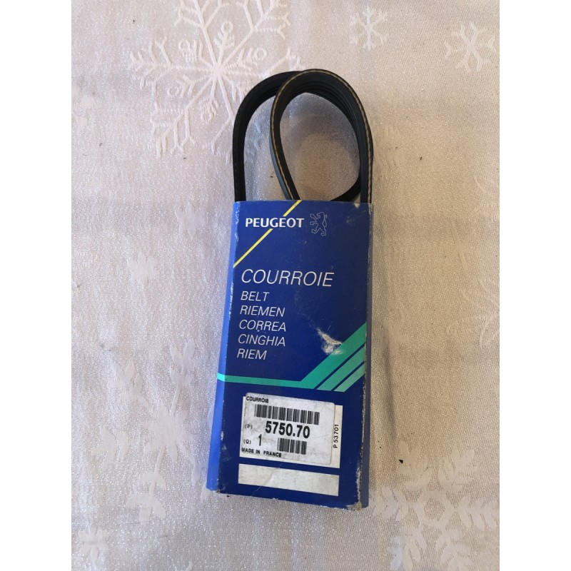 575070 COURROIE