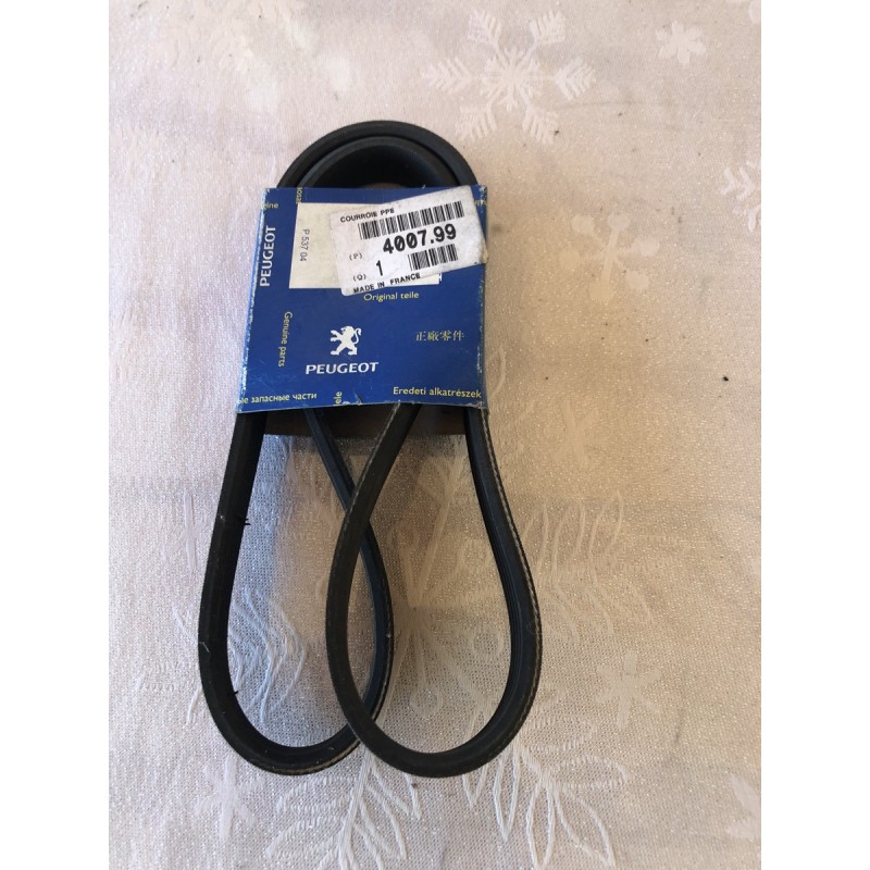400799 COURROIE